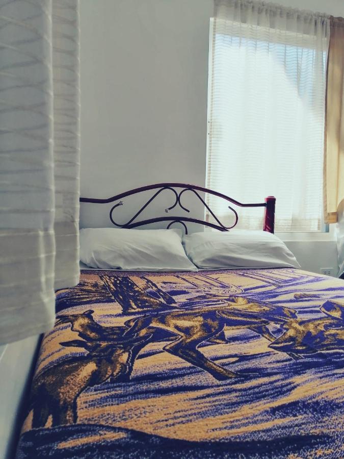 Hostal Maple Querétaro Exteriér fotografie