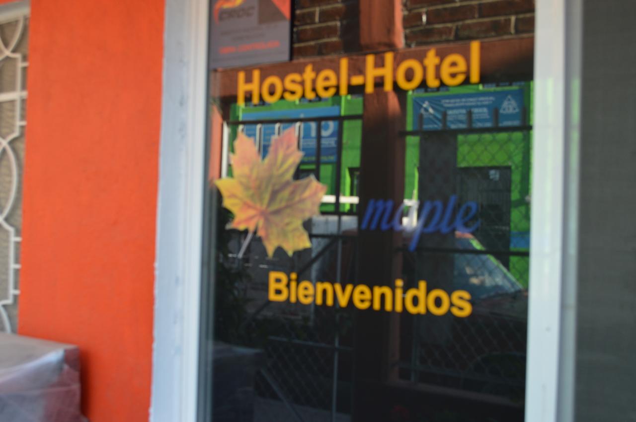 Hostal Maple Querétaro Exteriér fotografie