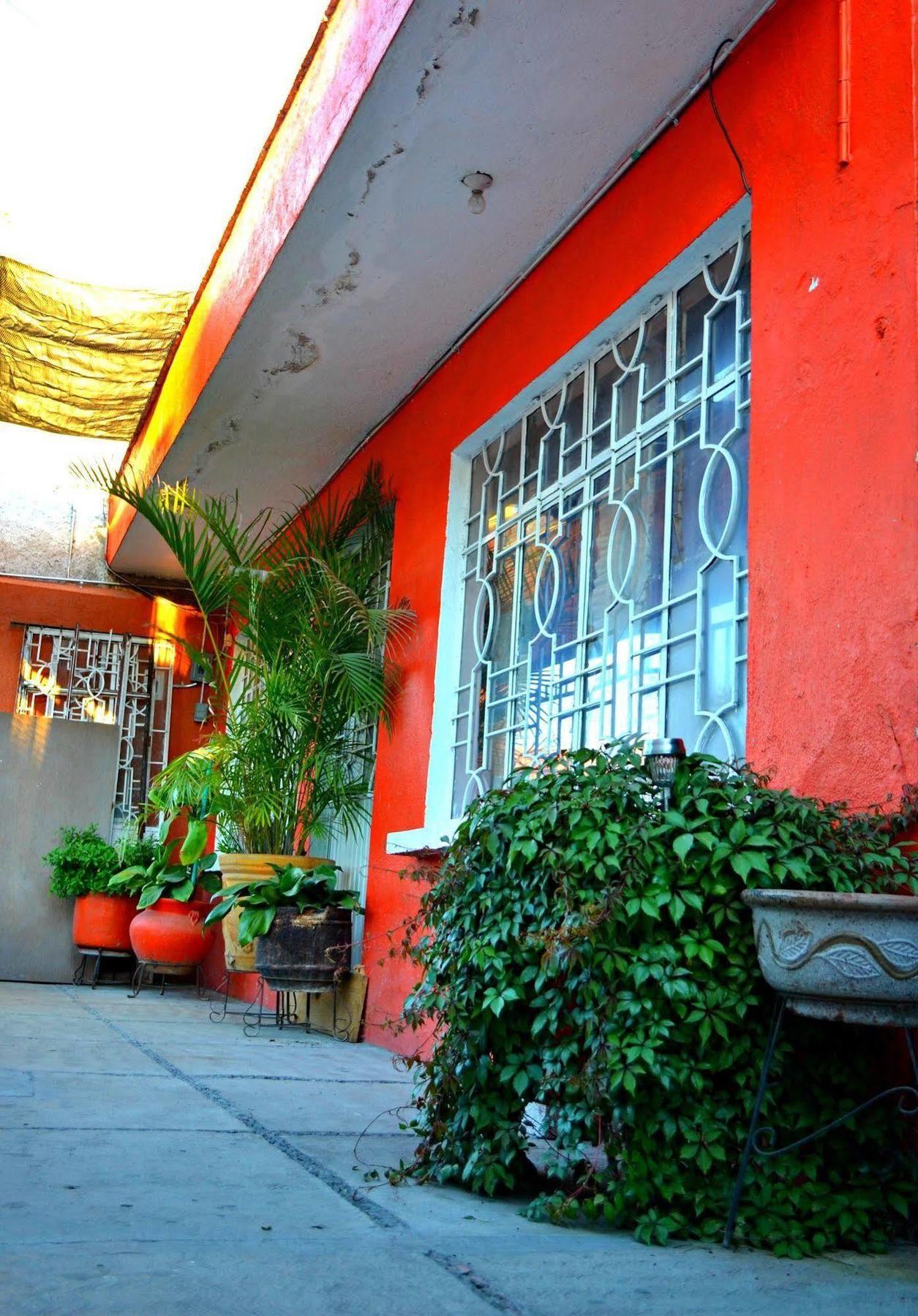 Hostal Maple Querétaro Exteriér fotografie