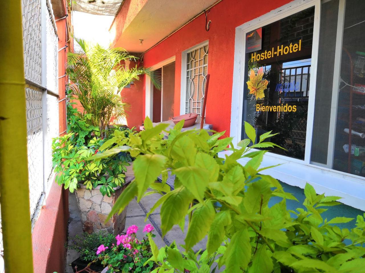 Hostal Maple Querétaro Exteriér fotografie
